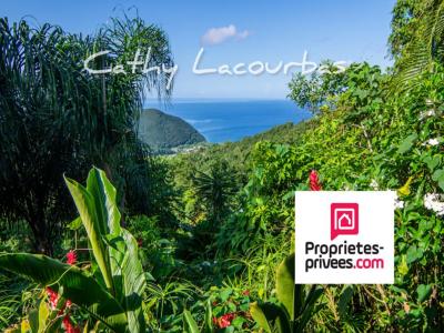 For sale Pointe-noire 15 rooms 328 m2 Guadeloupe (97116) photo 1