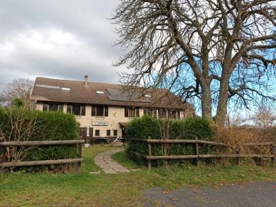 For sale Saulcy-sur-meurthe 11 rooms 450 m2 Vosges (88580) photo 0