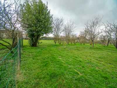 Annonce Vente Terrain Genouilly 18