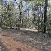 For sale Forested aera Nans-les-pins  5426 m2