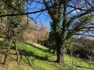 For sale Land Altkirch  1300 m2