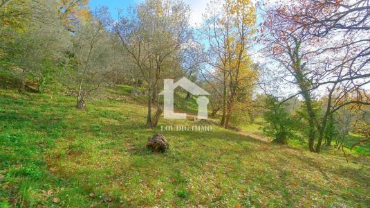 For sale Opio 6347 m2 Alpes Maritimes (06650) photo 1