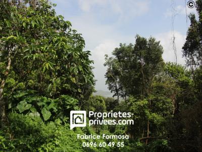 For sale Trois-ilets 2240 m2 Martinique (97229) photo 0