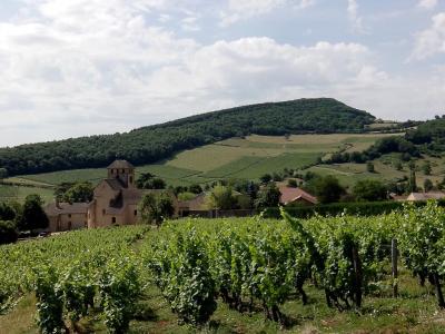 Acheter Terrain Sologny Saone et loire