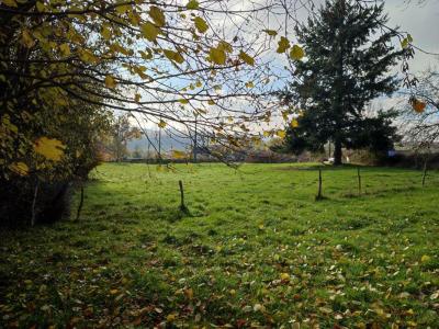 For sale Rouvray 2574 m2 Cote d'or (21530) photo 2