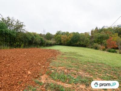 For sale Castres 1346 m2 Tarn (81100) photo 3