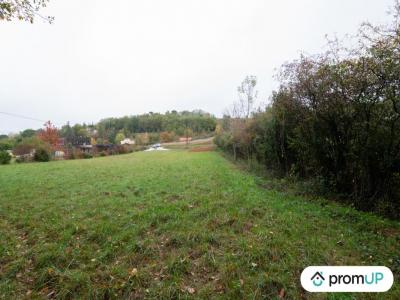 For sale Castres 1711 m2 Tarn (81100) photo 4