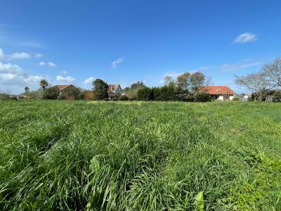 For sale Garrey Landes (40180) photo 0