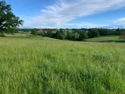 Acheter Terrain Iguerande Saone et loire