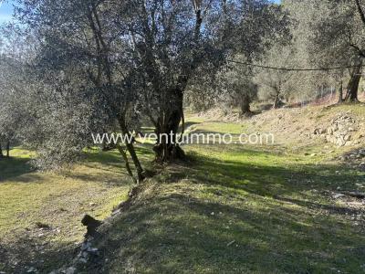 For sale Peille 11916 m2 Alpes Maritimes (06440) photo 3