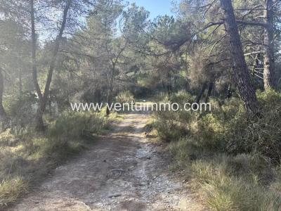 For sale Peille 11916 m2 Alpes Maritimes (06440) photo 4