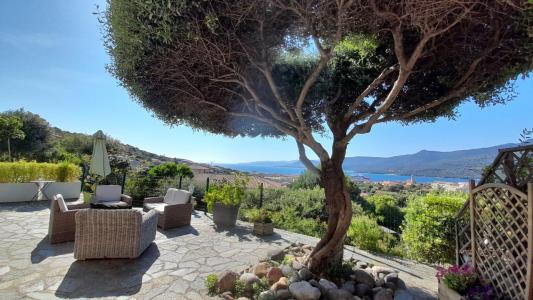 For sale Propriano 16 rooms 350 m2 Corse (20110) photo 0