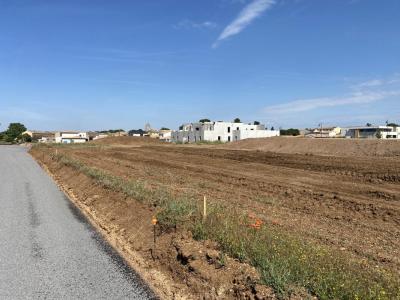 For sale Pomerols 314 m2 Herault (34810) photo 0