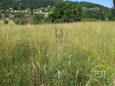 Acheter Terrain Sarlat-la-caneda 29000 euros