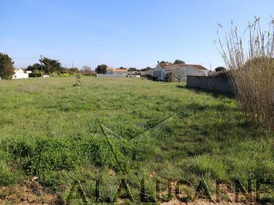 Annonce Vente Terrain Saint-pierre-d'oleron 17