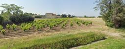 For sale Land Violes  550 m2