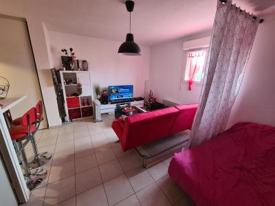 For rent Muret 1 room 27 m2 Haute garonne (31600) photo 1