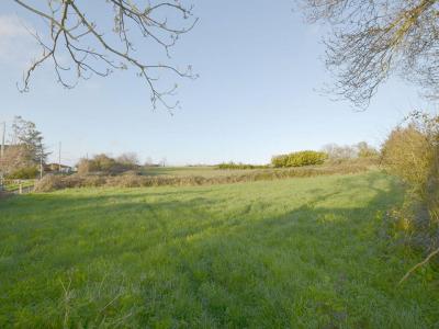 For sale Claye 1400 m2 Vendee (85320) photo 0