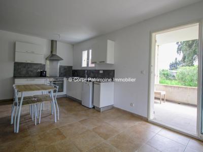 Annonce Vente Appartement Santa-lucia-di-moriani 20