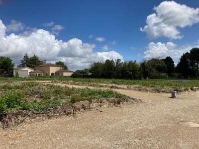 For sale Auros 630 m2 Gironde (33124) photo 0