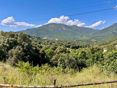 For sale Eccica-suarella 1772 m2 Corse (20117) photo 0