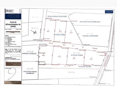 Annonce Vente Terrain Souligny 10