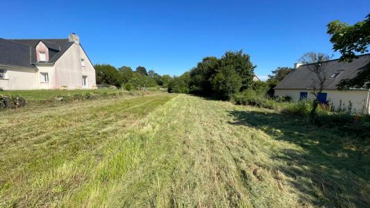 Acheter Terrain Turballe Loire atlantique