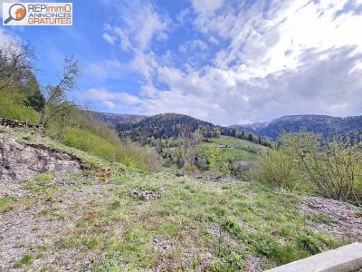 For sale Saint-maurice-sur-moselle Vosges (88560) photo 1