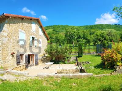 For sale Beny VAL-REVERMONT 10 rooms 236 m2 Ain (01370) photo 1