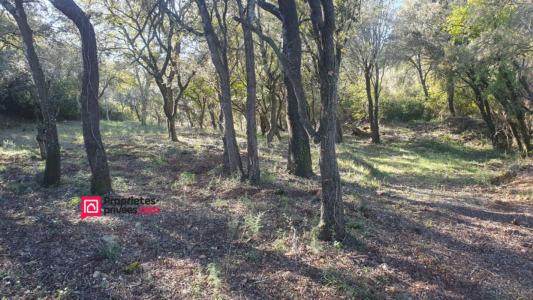 Annonce Vente Terrain Uzes 30