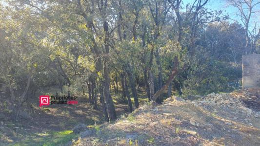 Acheter Terrain Uzes 250000 euros