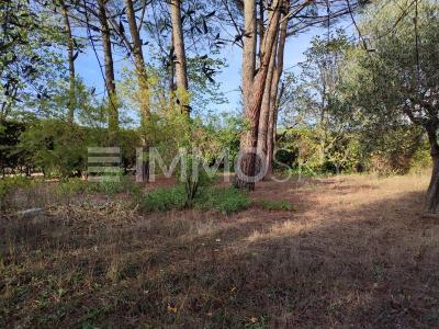 For sale Figanieres 625 m2 Var (83830) photo 1