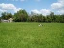 For sale Land Taupont  2096 m2