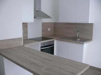 For rent Lille 2 rooms 44 m2 Nord (59000) photo 0