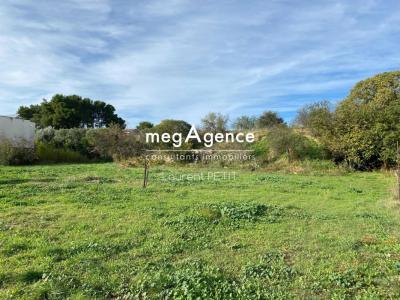 For sale Paulhan 2226 m2 Herault (34230) photo 2