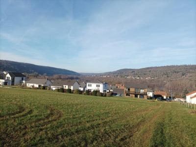 For sale Sexey-aux-forges 1202 m2 Meurthe et moselle (54550) photo 3
