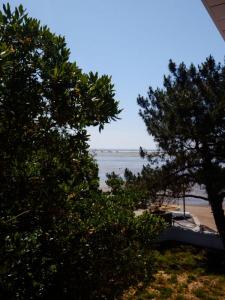 For sale Lege-cap-ferret 835 m2 Gironde (33950) photo 1