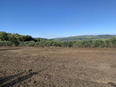 Acheter Terrain 330 m2 Rognes