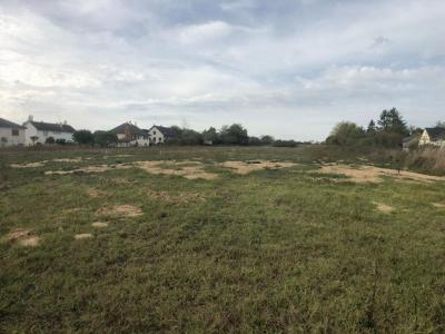 Acheter Terrain 560 m2 Coulanges-les-nevers