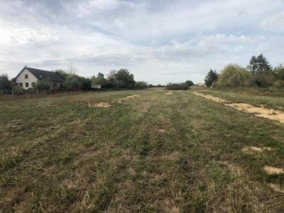 Acheter Terrain Coulanges-les-nevers 41800 euros