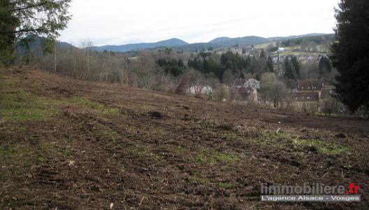 For sale Saint-die 10078 m2 Vosges (88100) photo 2