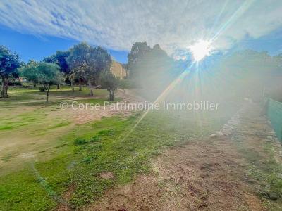 For sale Sainte-lucie-de-porto-vecchio 1020 m2 Corse (20144) photo 3