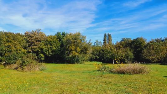 For sale Saint-priest-les-fougeres Dordogne 5 rooms 131 m2 Dordogne (24450) photo 3