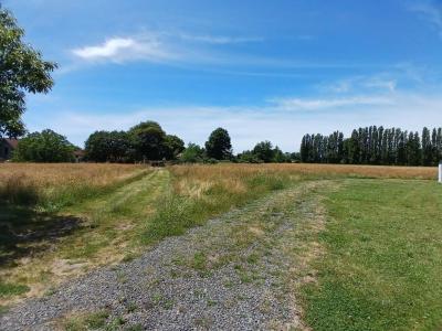 For sale Hinx 544 m2 Landes (40180) photo 2