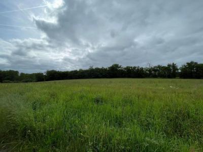 For sale Cheniers 32767 m2 Creuse (23220) photo 3