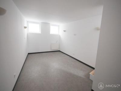 Annonce Location 3 pices Appartement Avelin 59