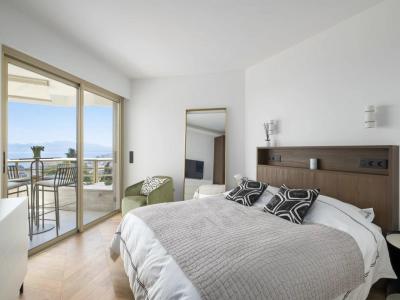 Acheter Appartement Cannes Alpes Maritimes