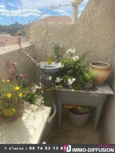 For sale CENTRE VILLE 3 rooms 46 m2 Herault (34140) photo 0