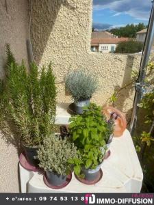 For sale CENTRE VILLE 3 rooms 46 m2 Herault (34140) photo 3