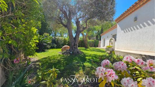 Acheter Maison Saint-cyprien Pyrenees orientales